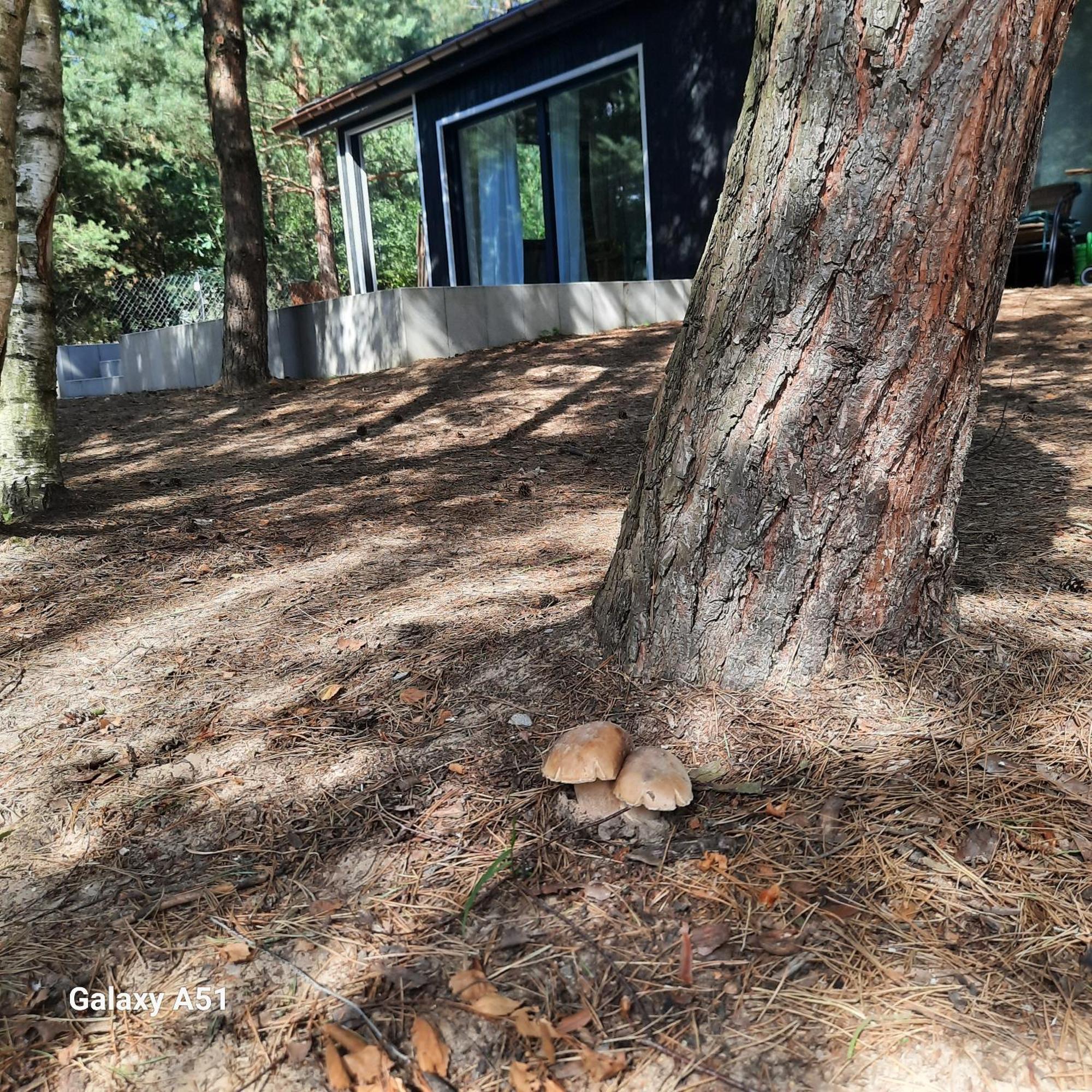 Domek Lesniczowka Gorzewo Exterior foto